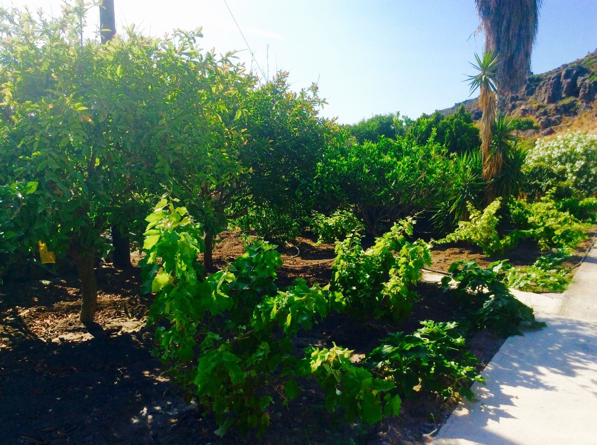 Фото Nicolas Studios