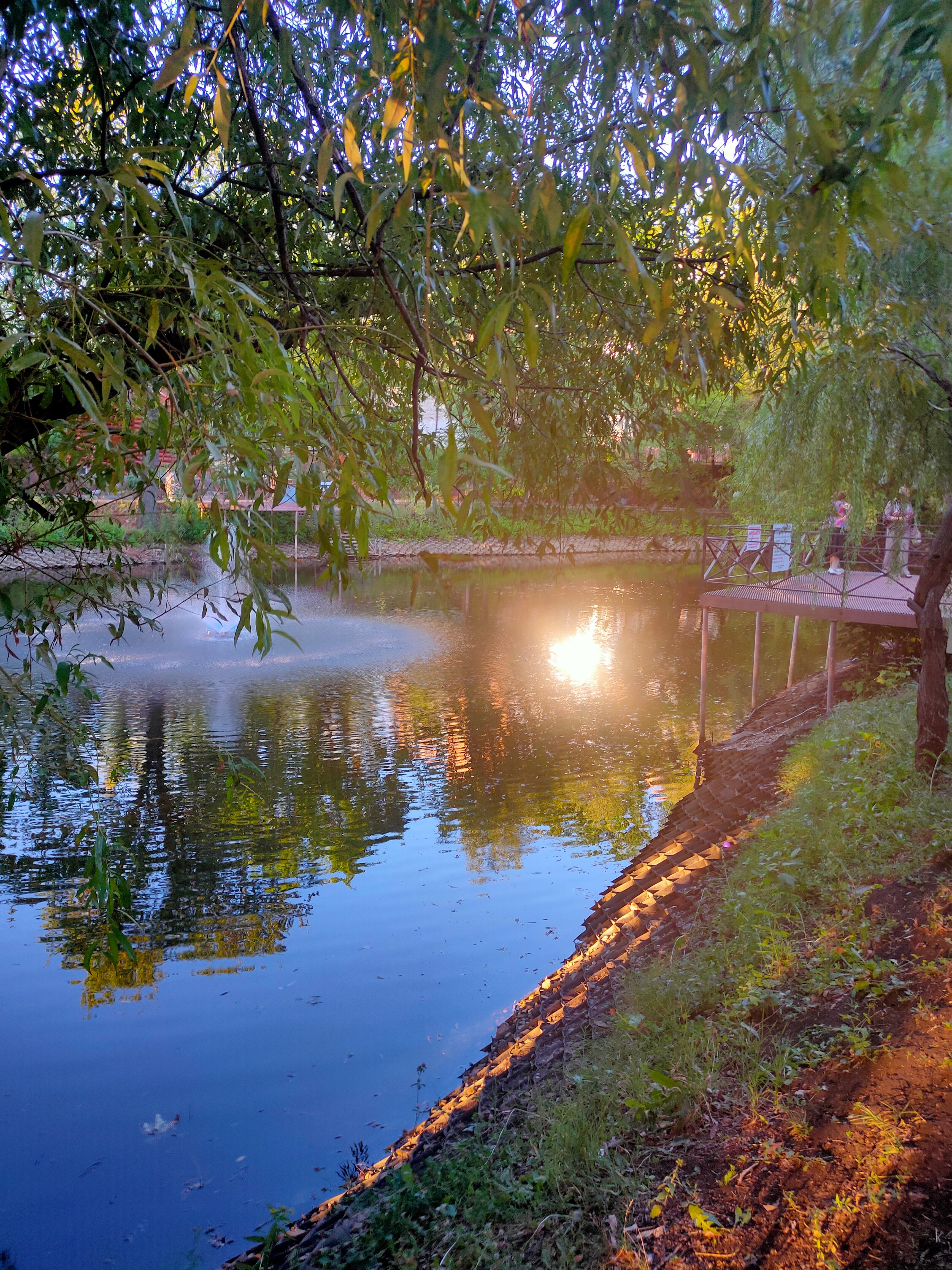 Фото Фрунзенец