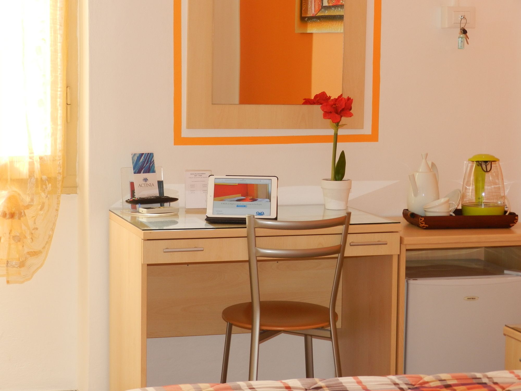 Фото Actinia Accomodation