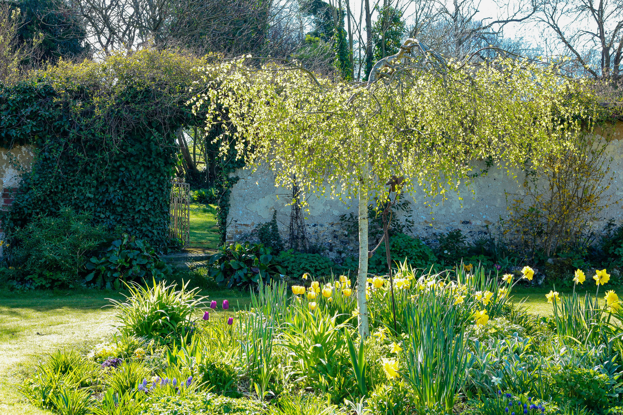 Фото Rollestone Manor