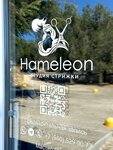 Hameleon (село Вилино, улица Ленина, 71А), hairdresser