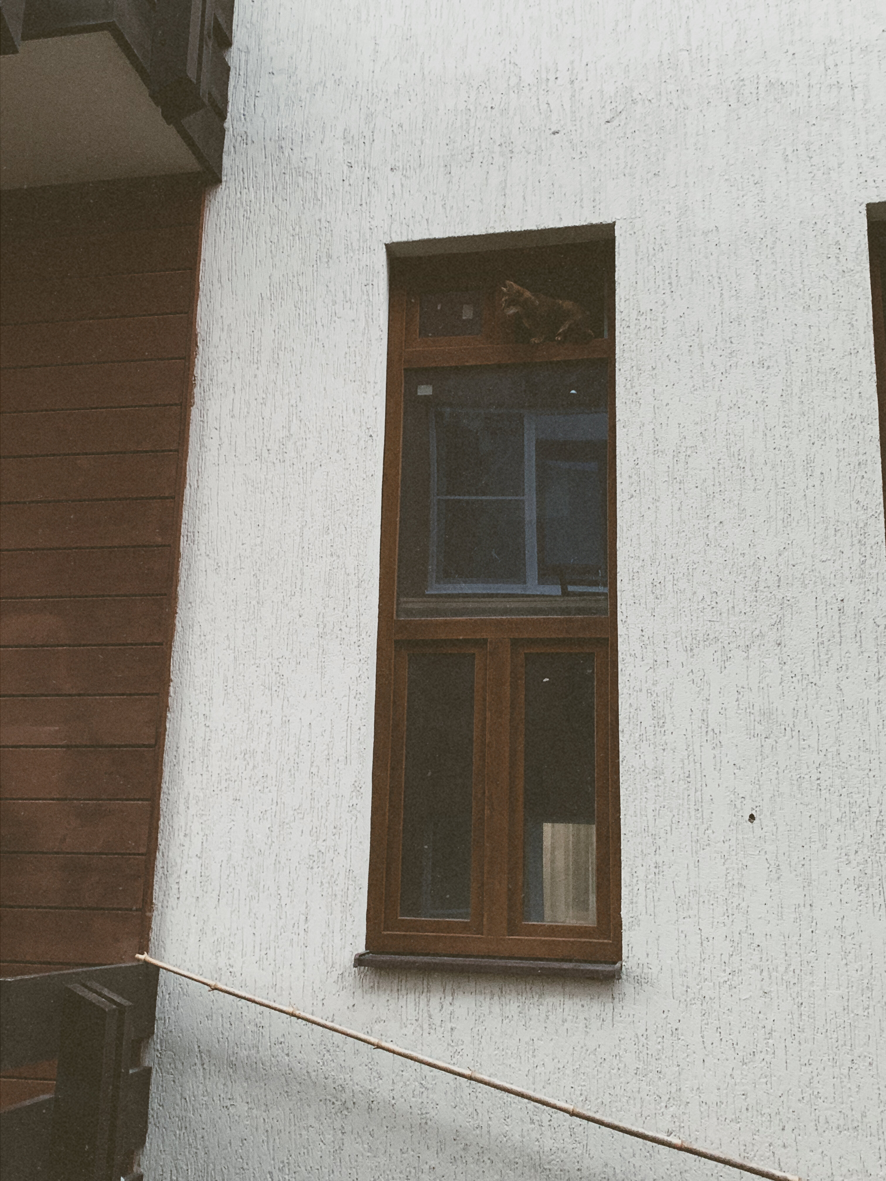 Фото Гостевой дом Заповедная 15а