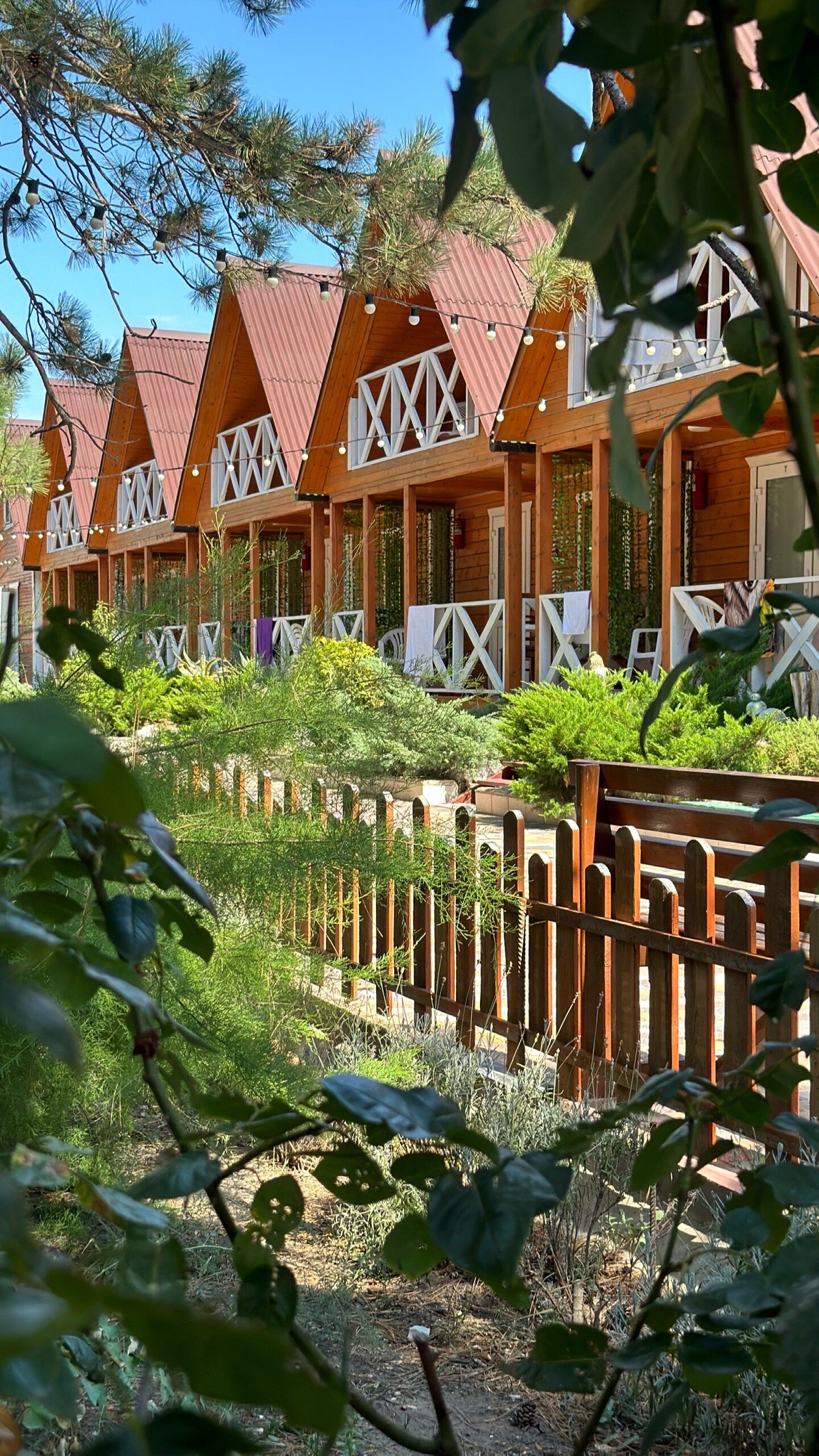 Фото Арабеска