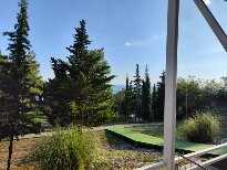 Фото Лунная поляна