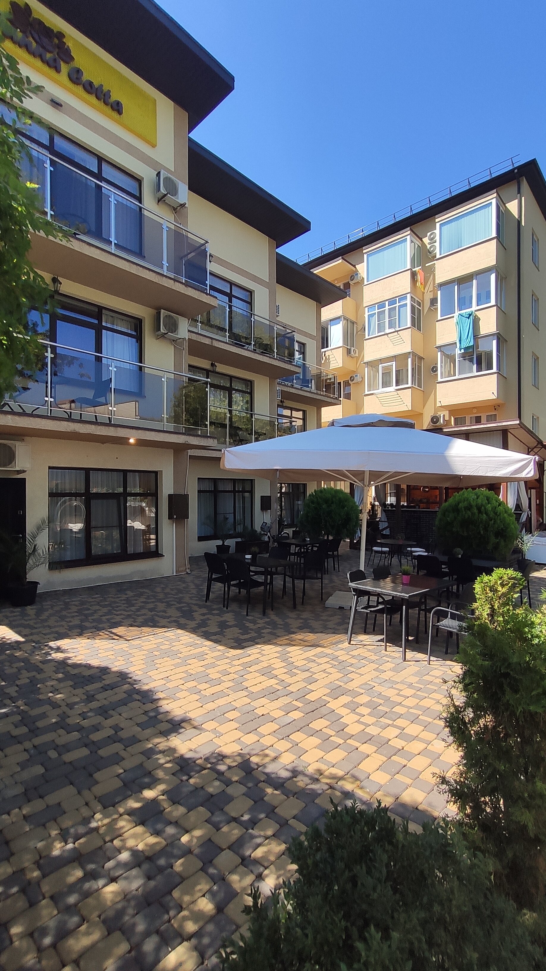 Фото Amigo Panna-Cotta