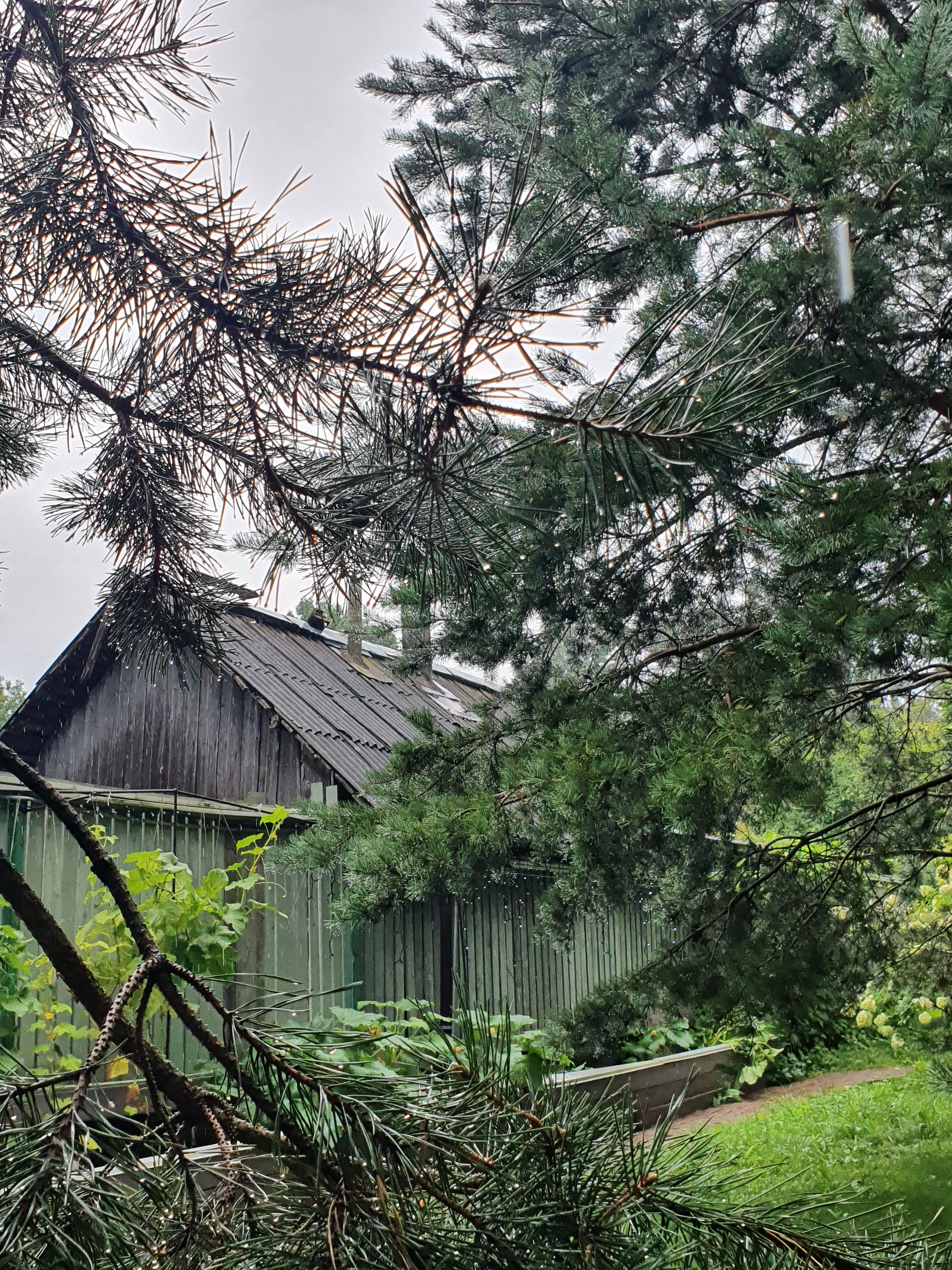 Фото Чернавинодом9