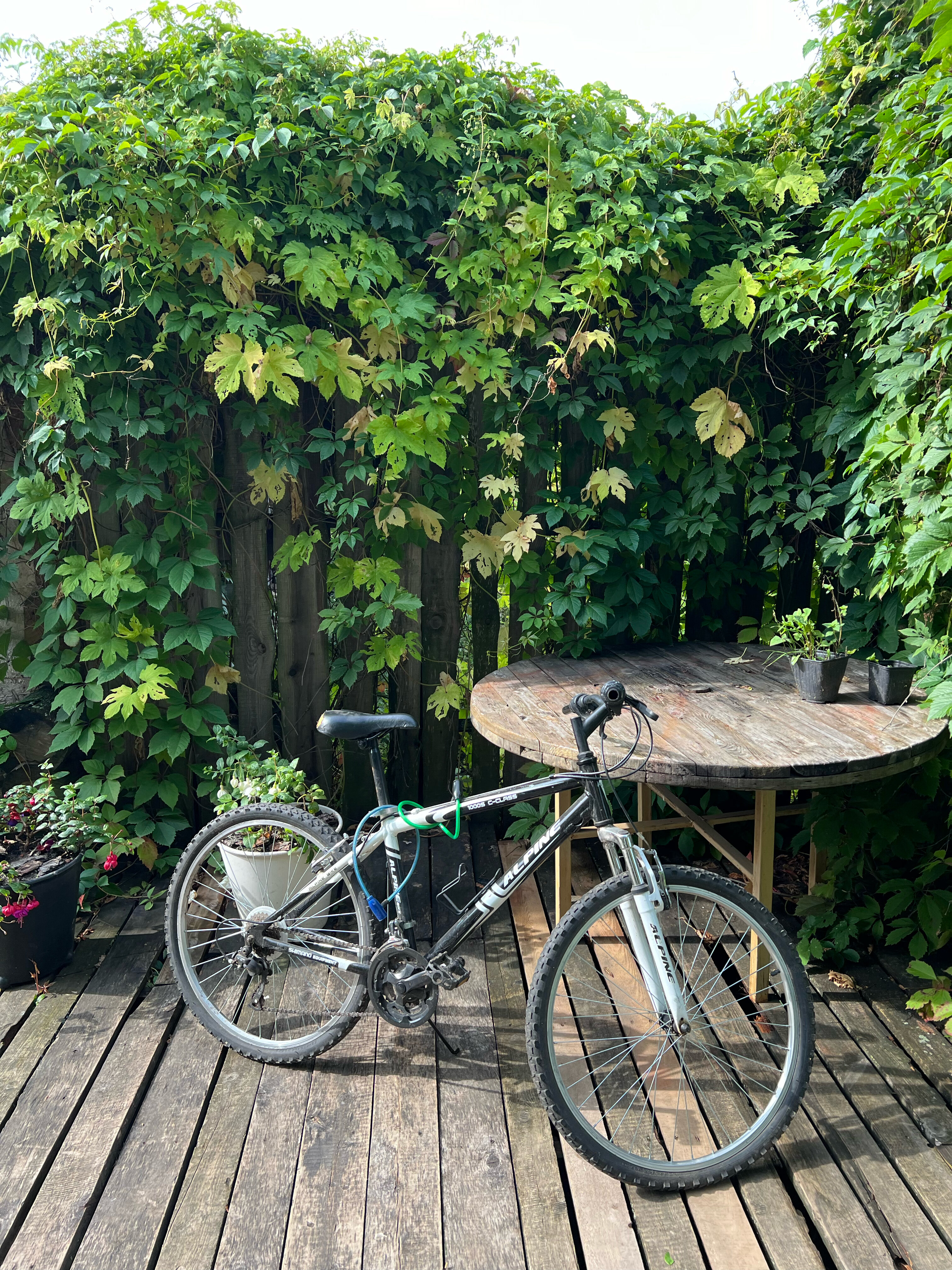 Фото 33 Пушкина