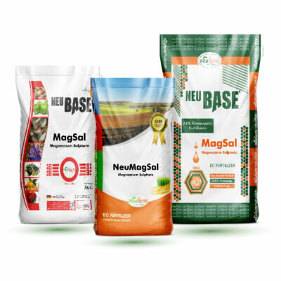 Industrial enterprise Neufarm GmbH, Izmir, photo