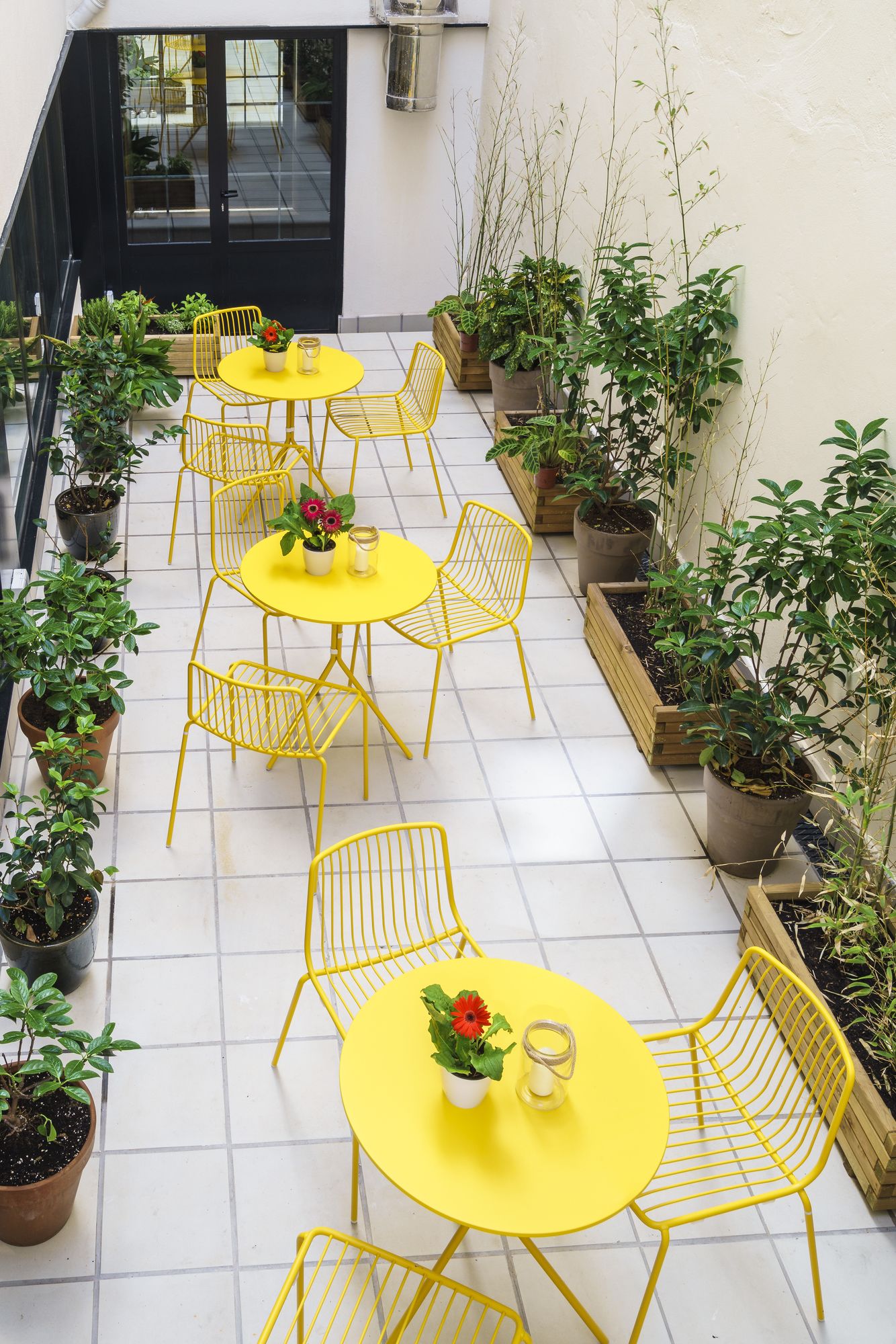 Фото The Walt Madrid