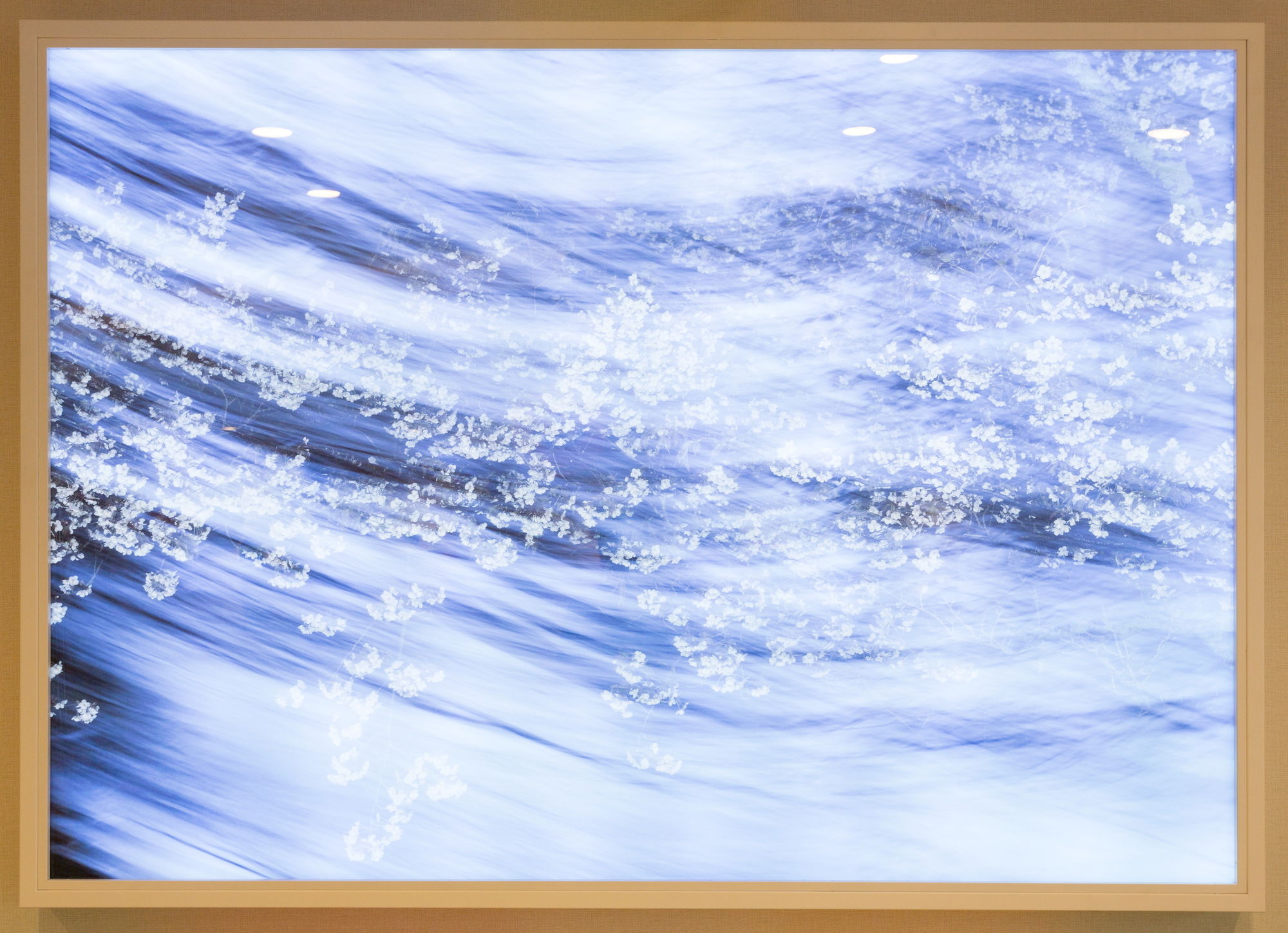 Фото Sarasa Hotel Namba