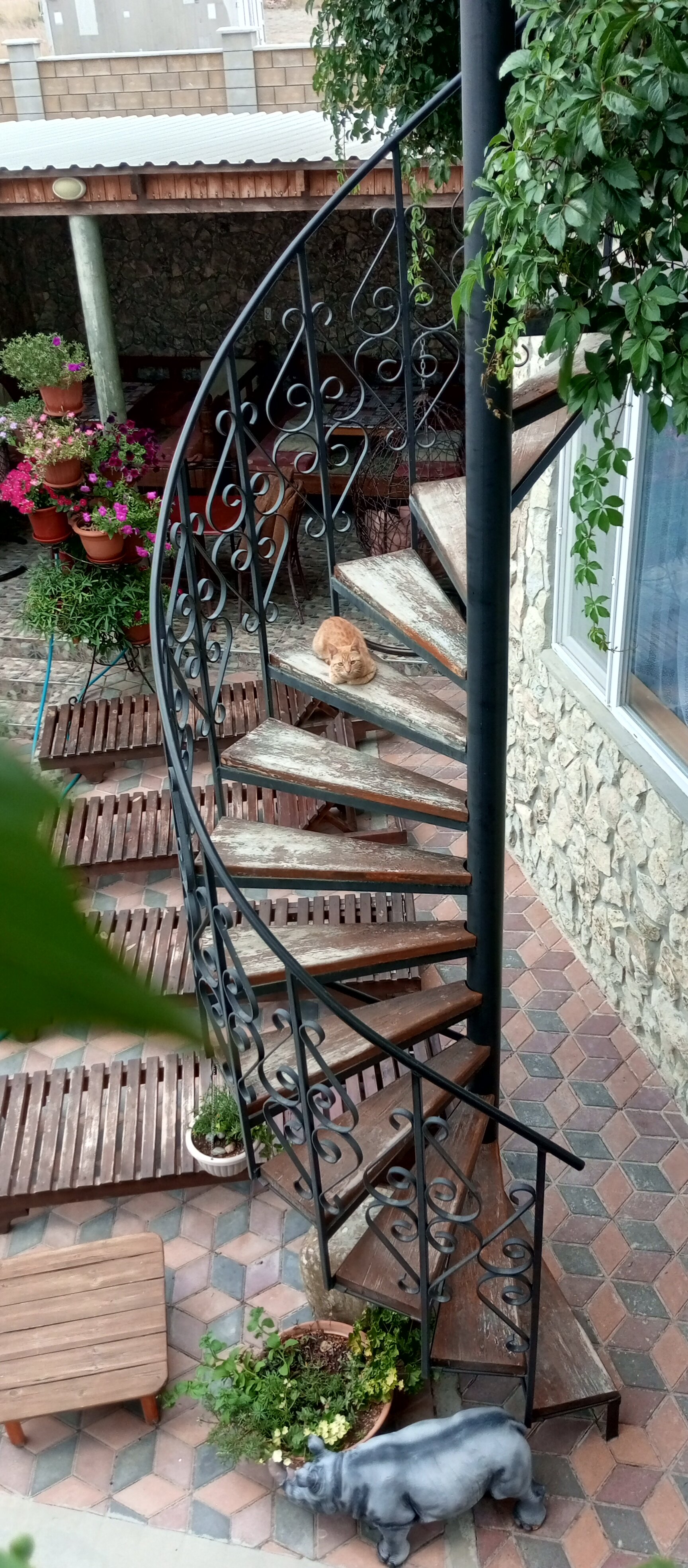 Фото Сапсан