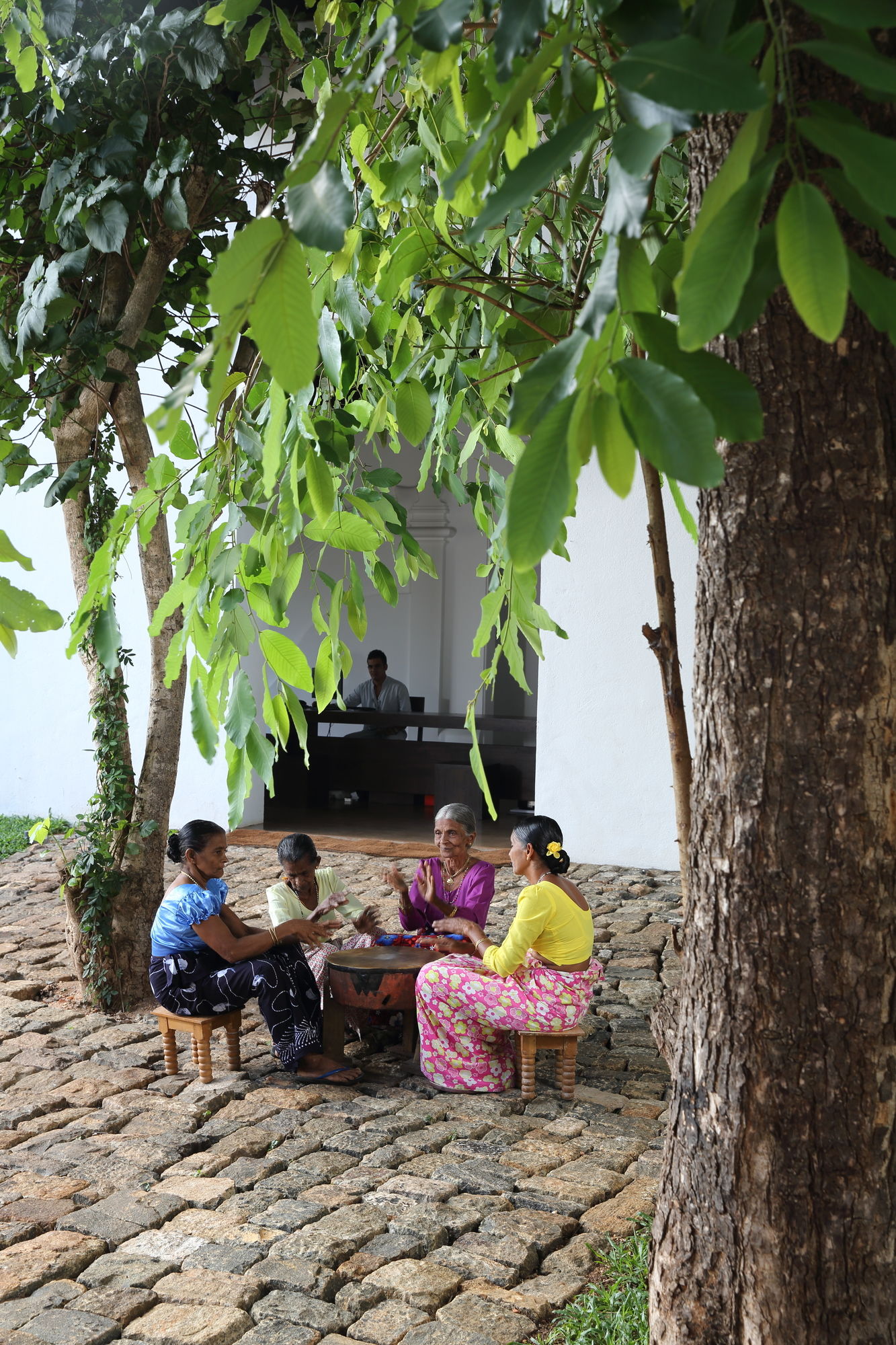 Фото La Jungle Vista sigiriya