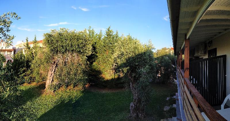 Фото Апарт-отель Ever Green