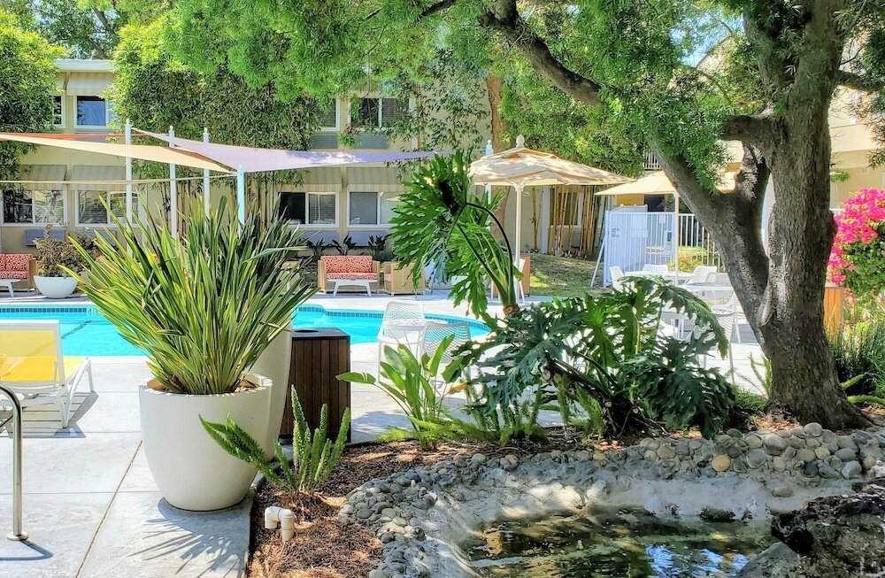 Фото Wild Palms, a JdV by Hyatt Hotel