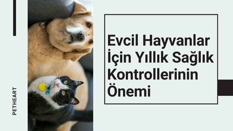 Veterinary clinic Petheart Sakarya 24/7 Emergency Veterinary Clinic, Serdivan, photo