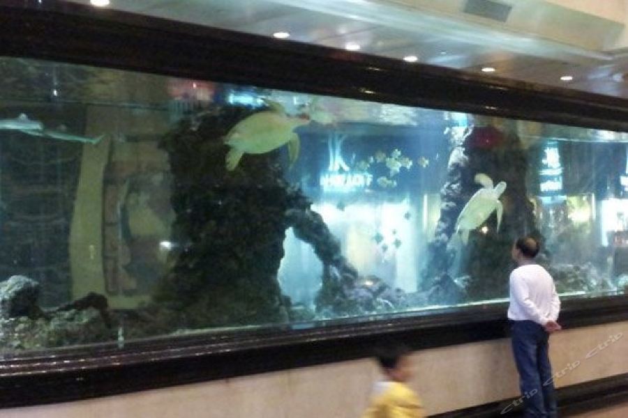 Фото Exhibition International Hotel