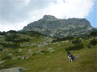 Фото Hotel Kralev Dvor