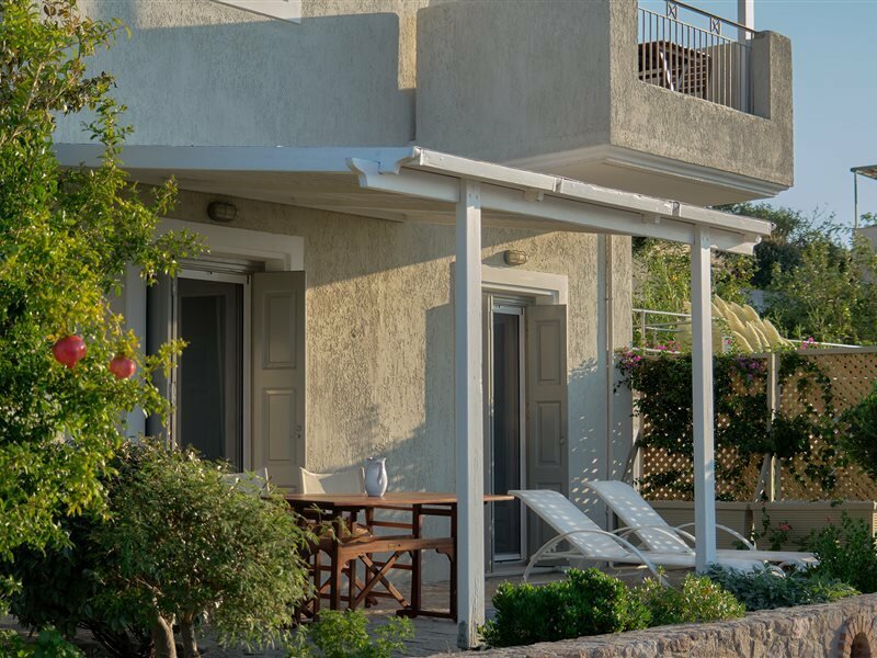 Фото Little Bird