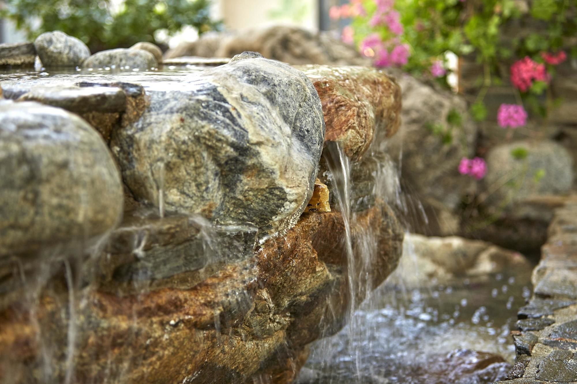 Фото Best Western Posada Royale Hotel & Suites