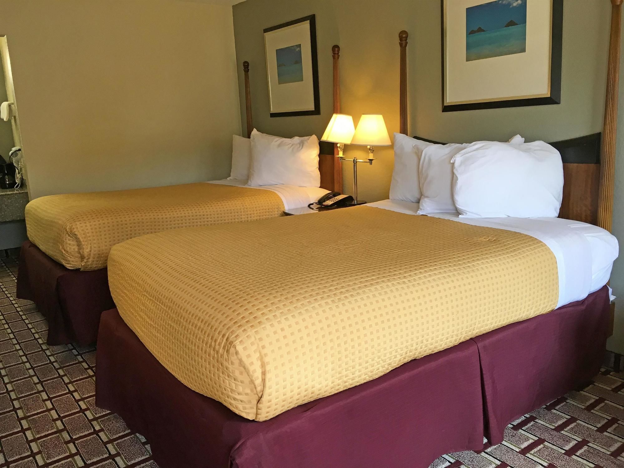 Фото Super 8 by Wyndham Gulfport Biloxi Airport