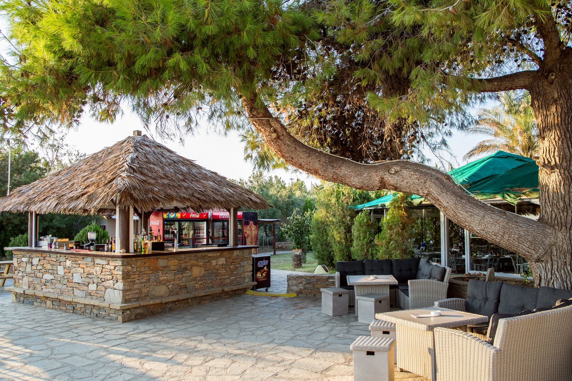 Фото Coral Blue Beach Hotel