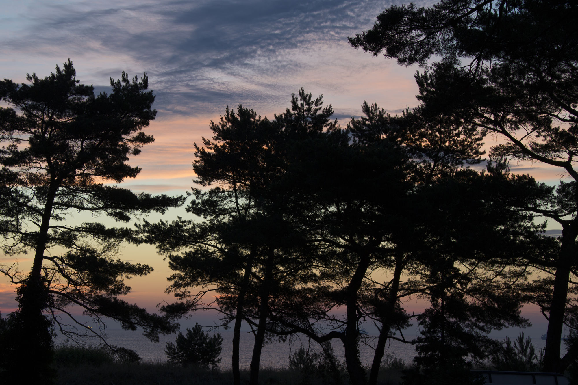 Фото Aurelia Hotel St. Hubertus