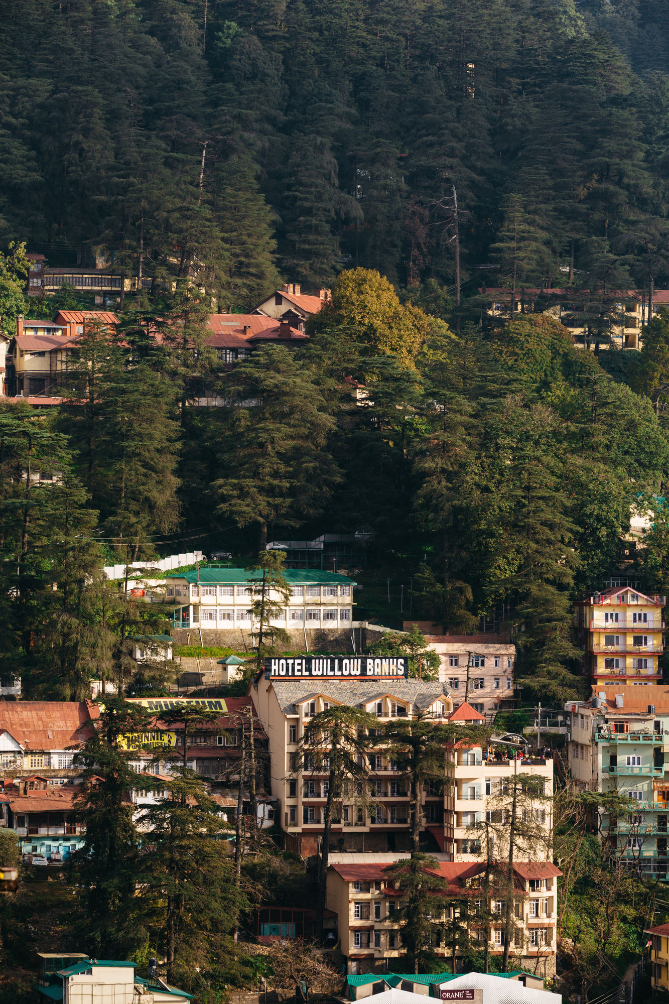 Фото Отель Willow Banks