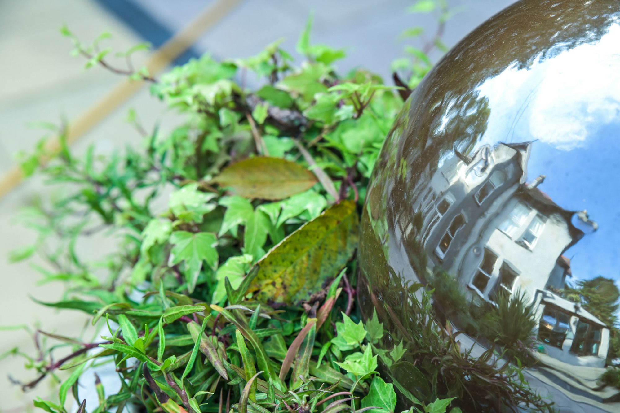 Фото Derby Manor