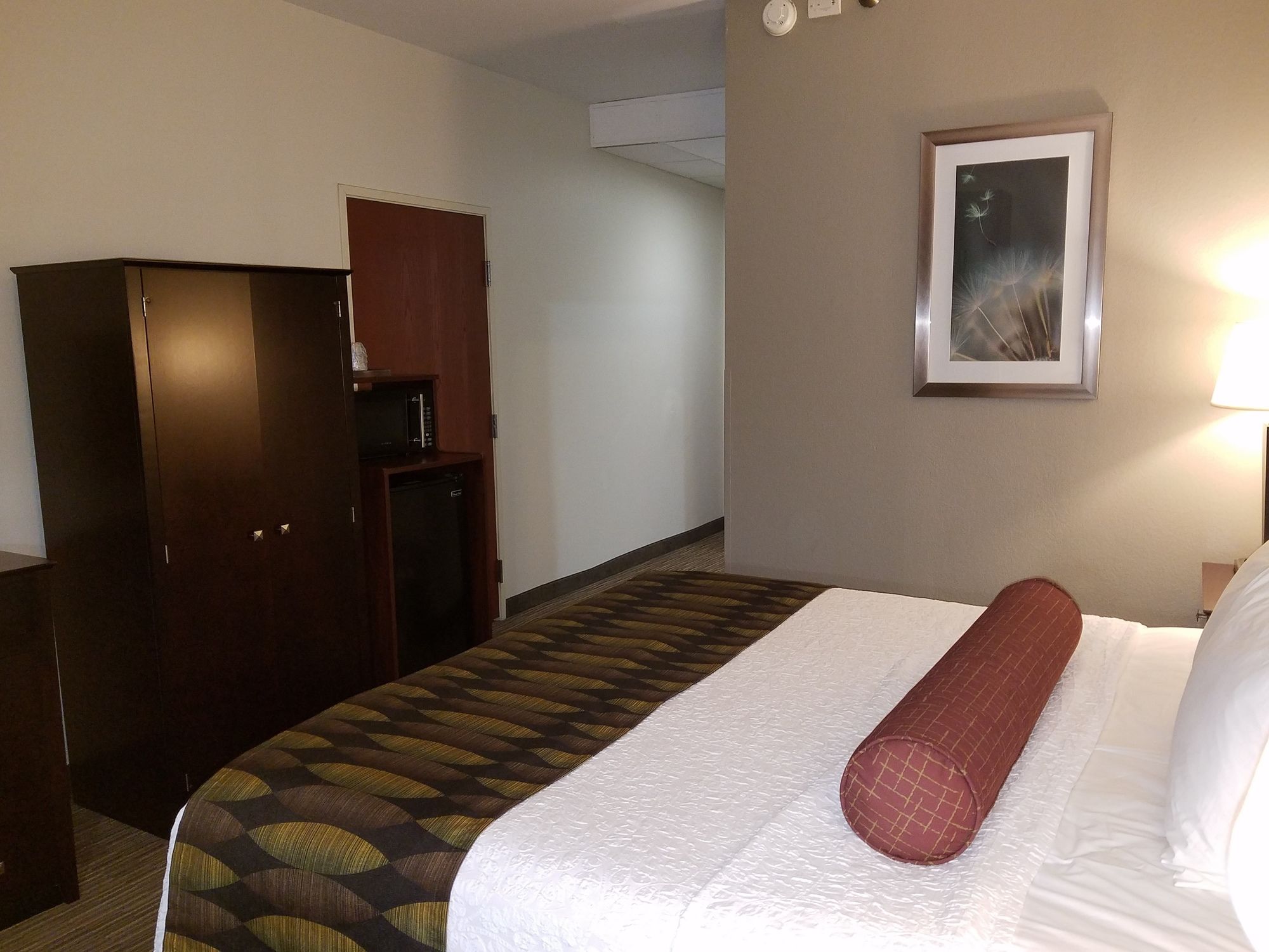 Фото Best Western Plus O'Hare International South Hotel