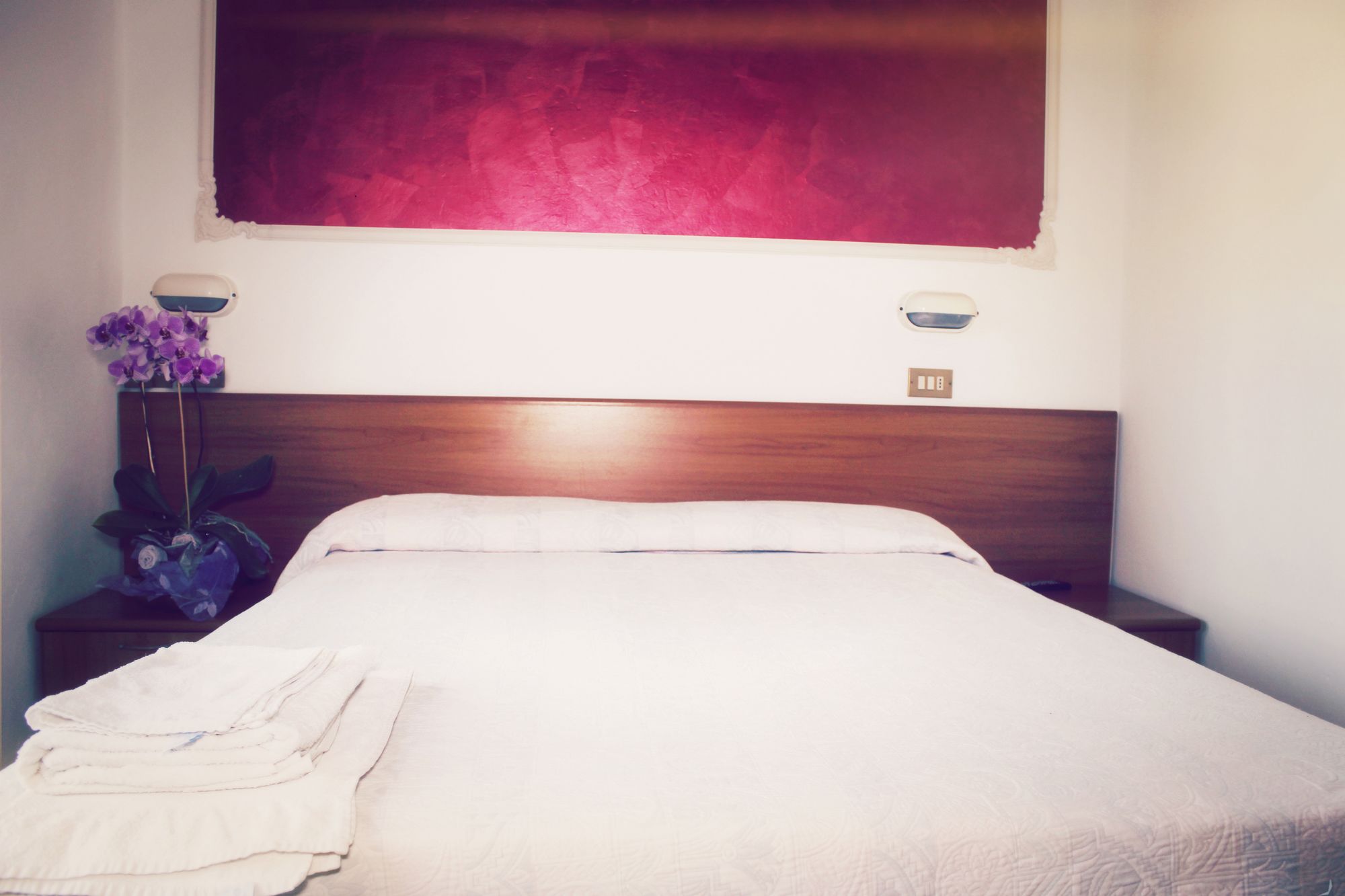 Фото Hotel Amoha