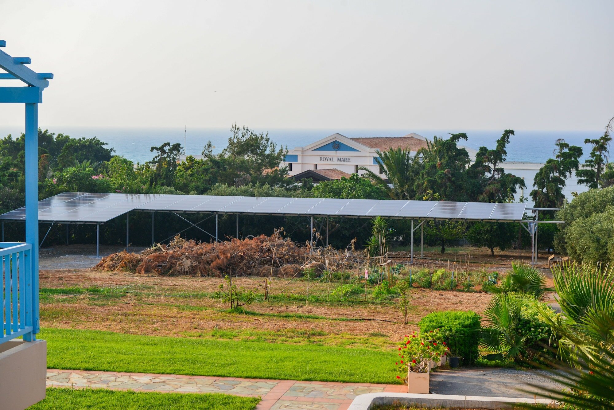 Фото Golden Dream Apartments