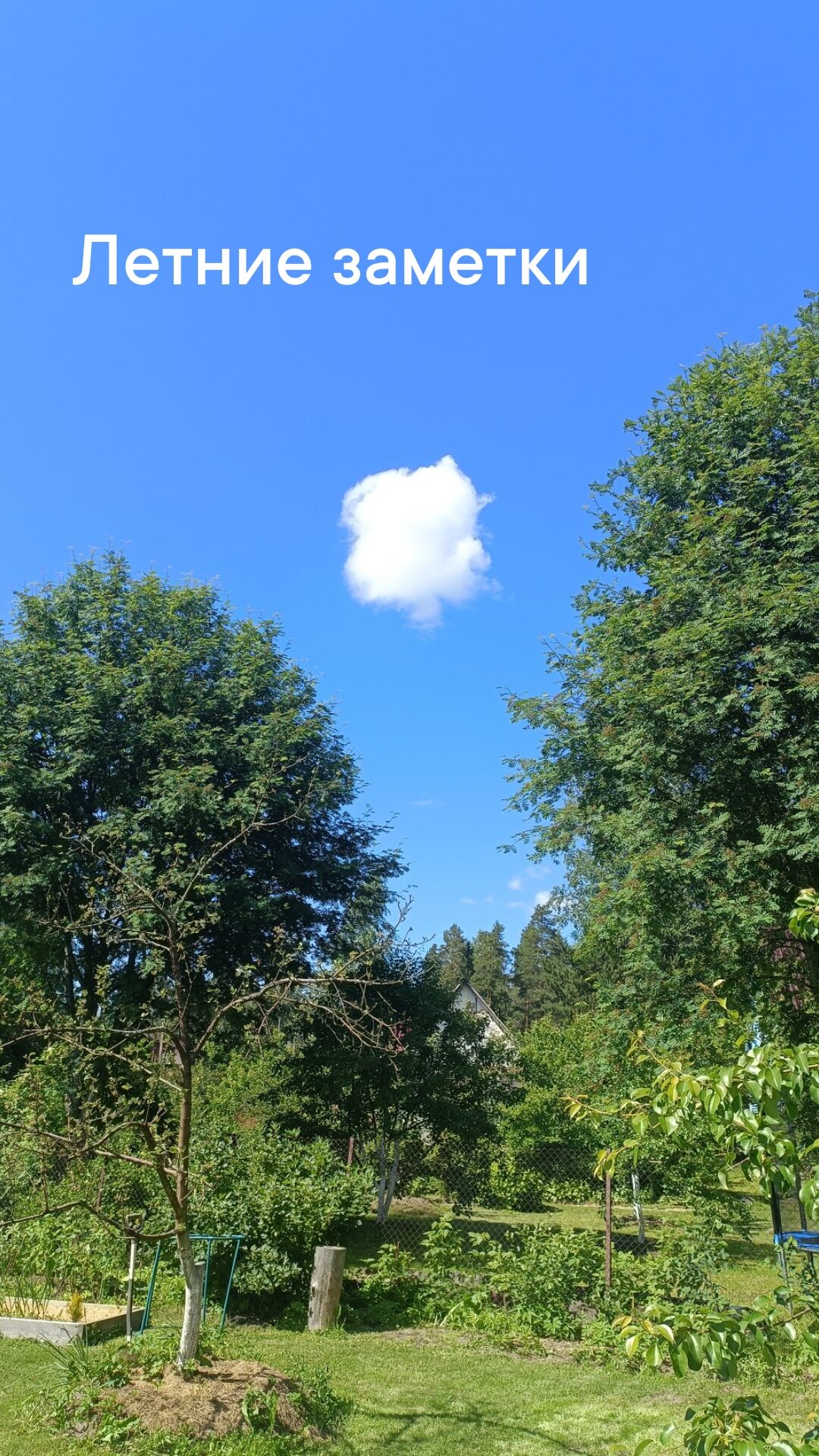 Фото Твой другой воздух - коттедж Юпитер