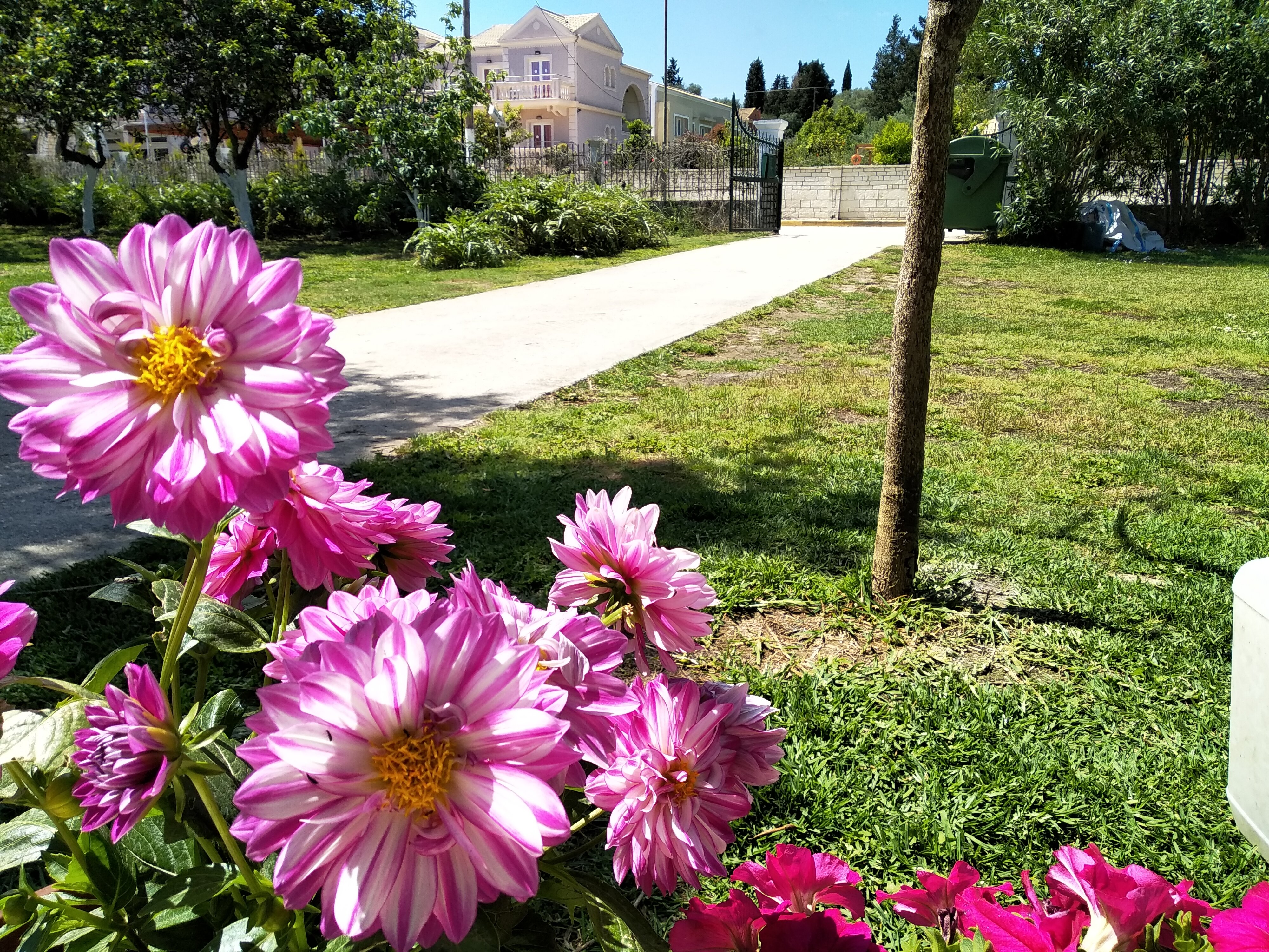 Фото Апарт-отель Ever Green