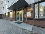 Dalekspotsentr (Pogranichnaya Street, 15В), organization and maintenance of exhibitions