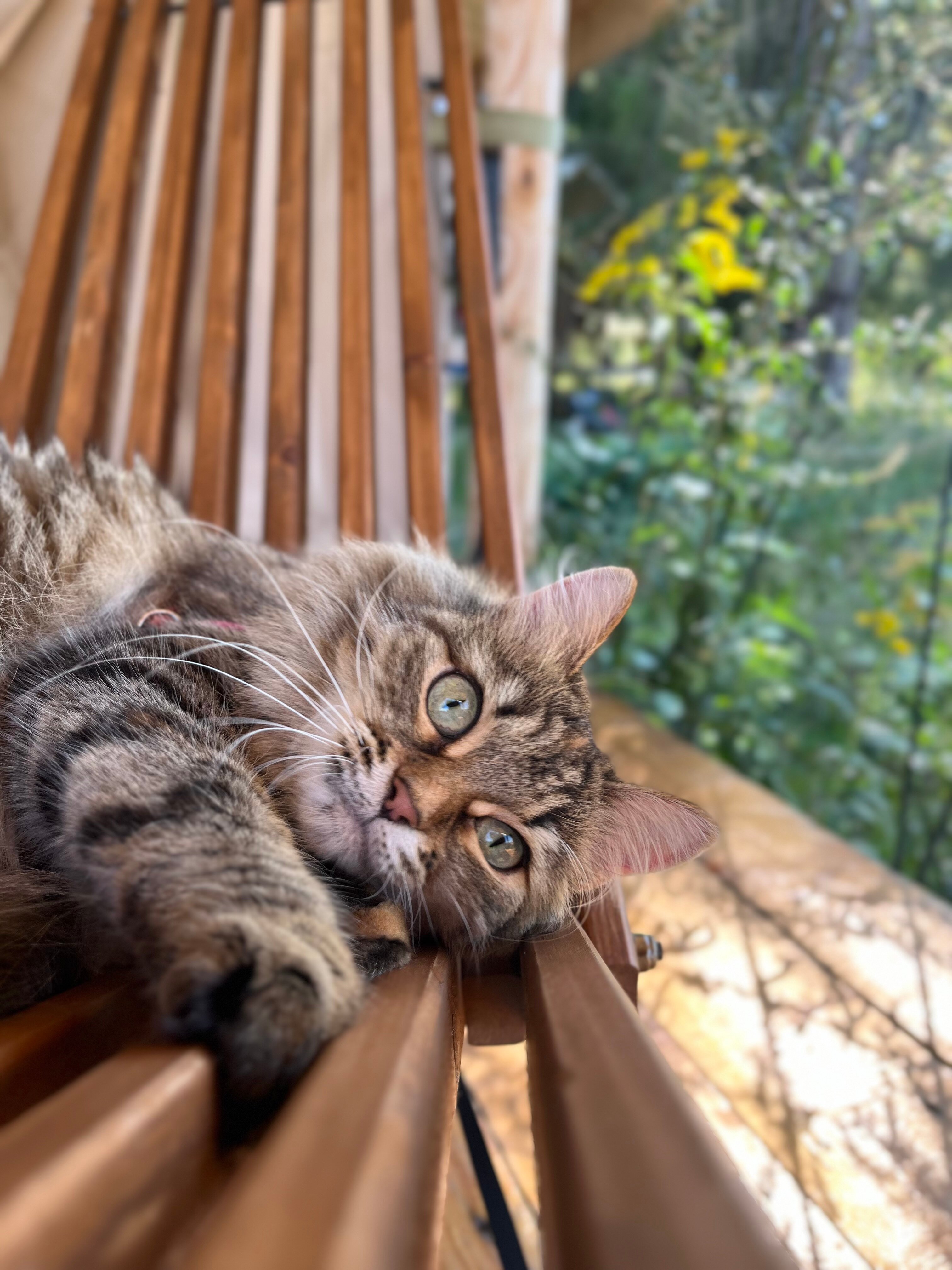 Фото Заповедник