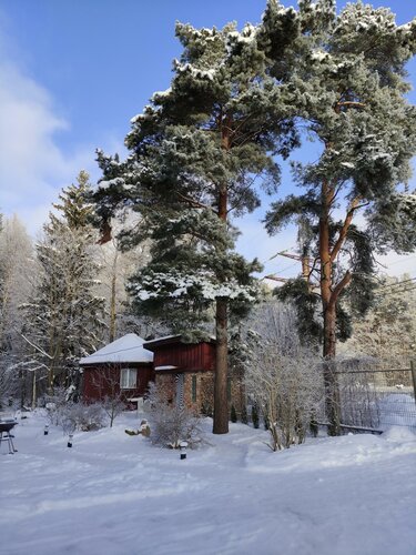 Дом в аренду Тарховка в Сестрорецке