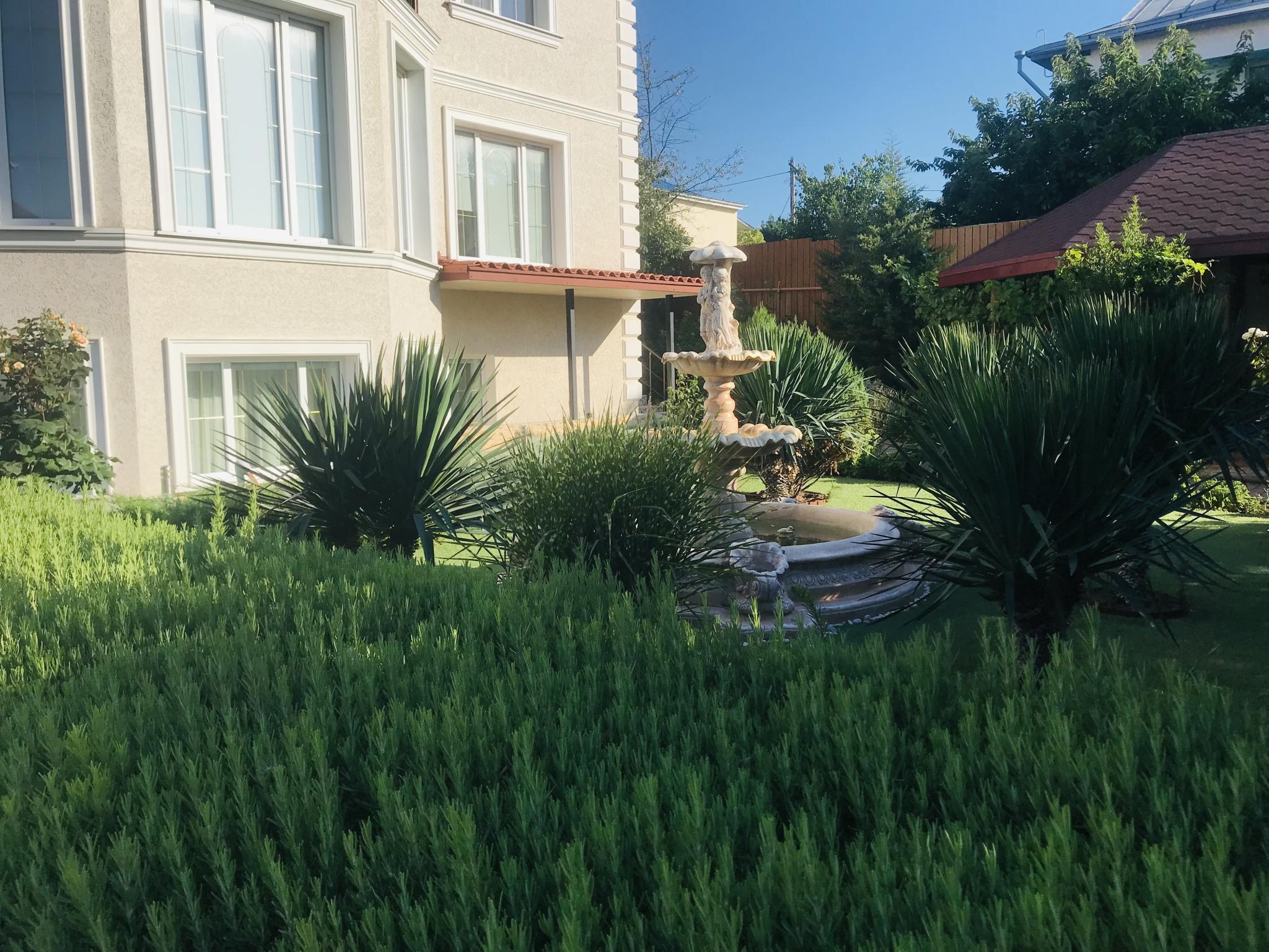 Фото Легкий Бриз