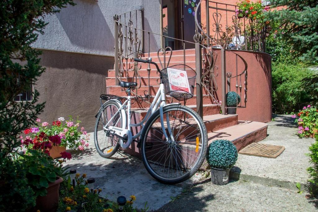 Фото ИнЛайк