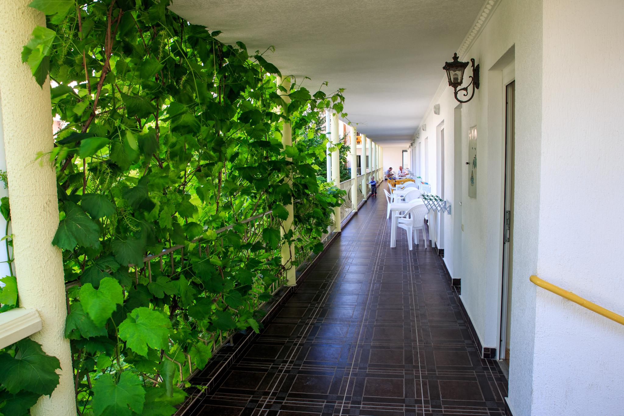 Фото Панорама