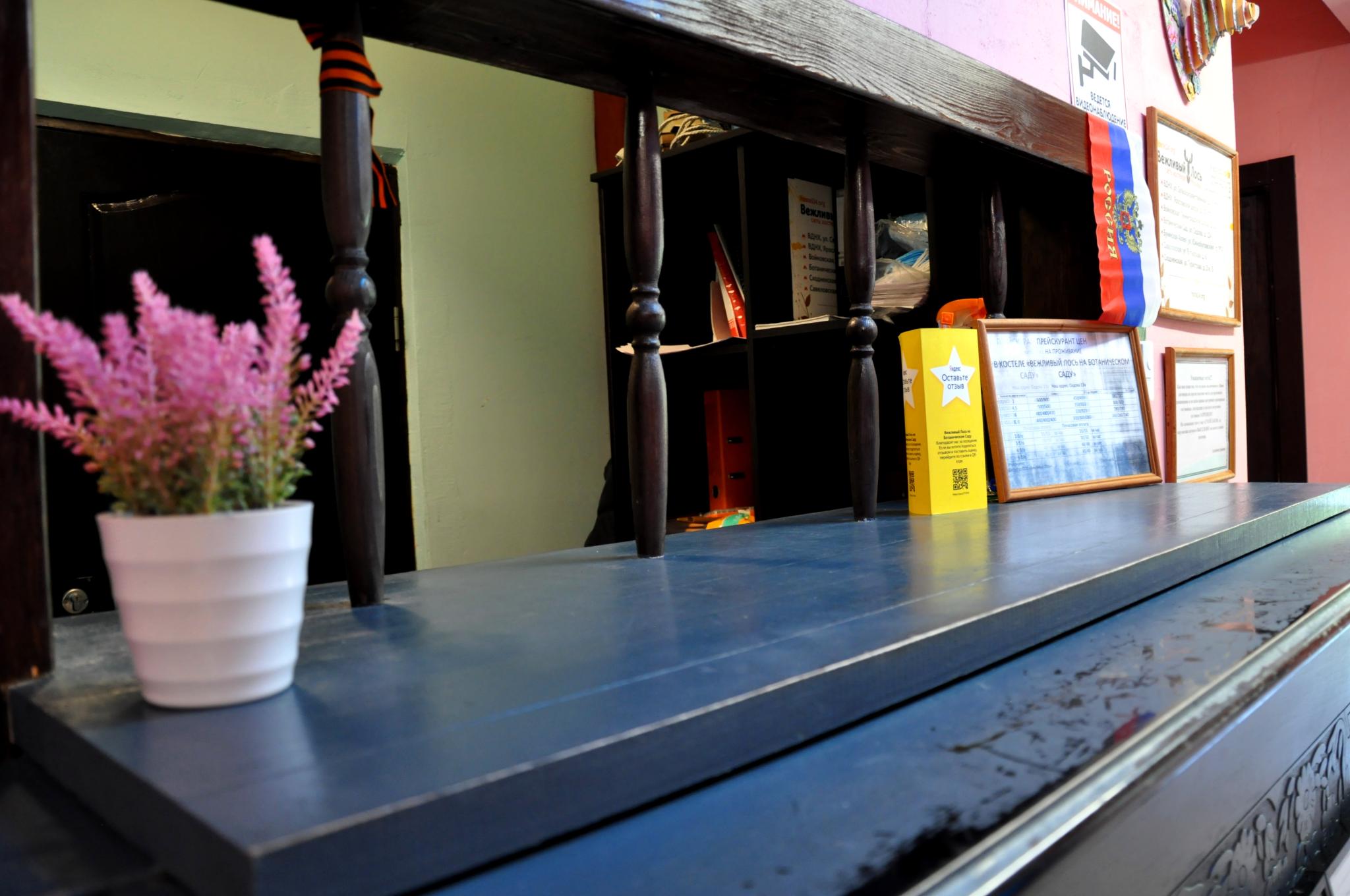 Фото Вежливый Лось на Ботаническом саду