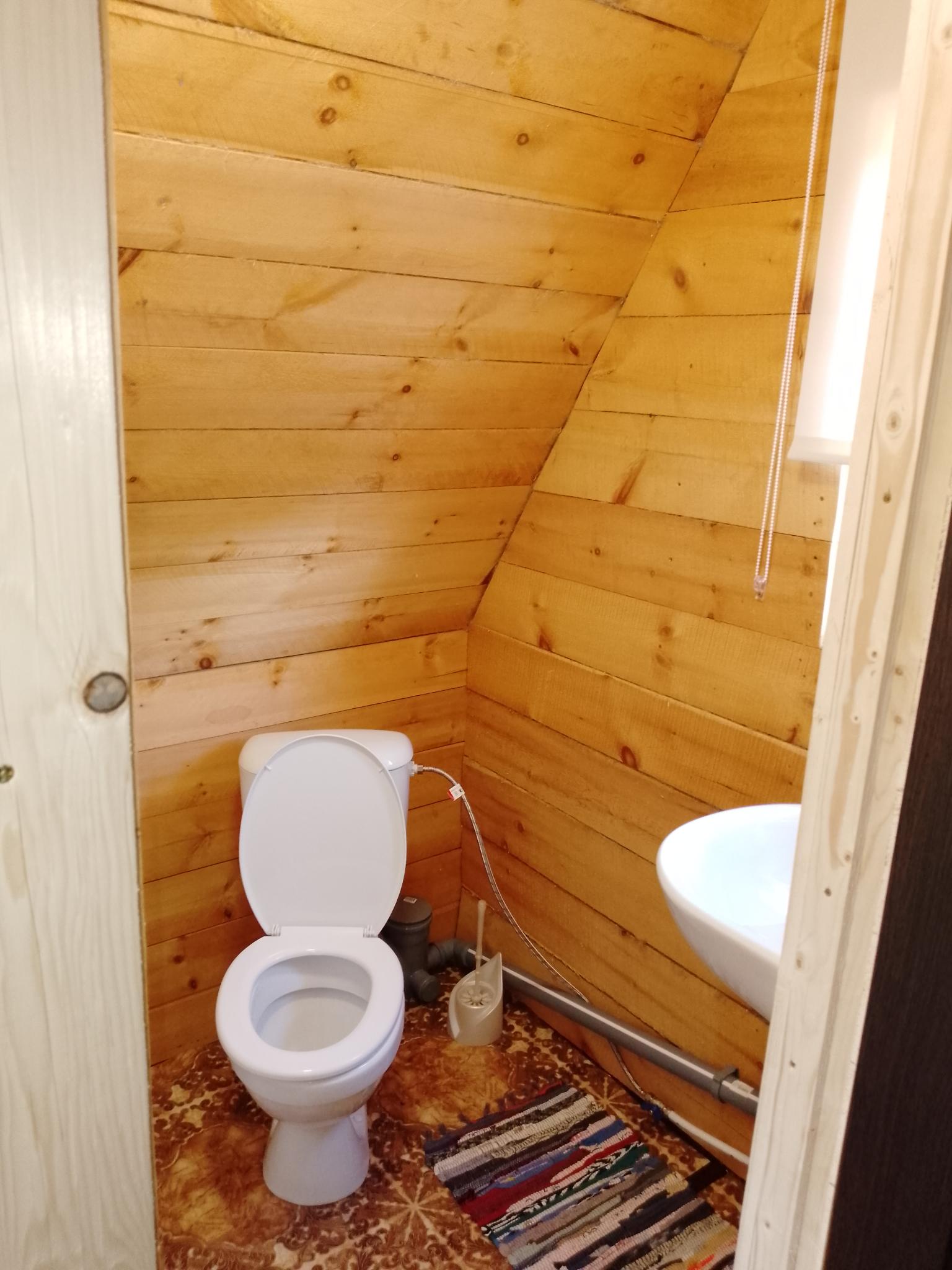 Фото Золотая рыбка