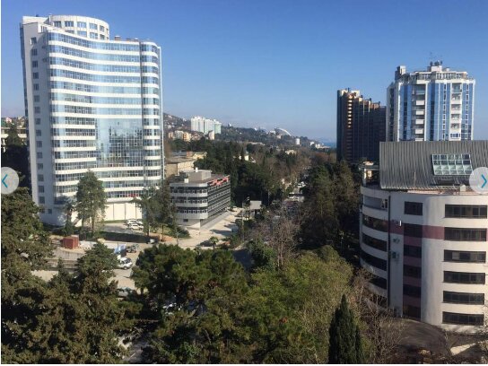 Фото Светлана Плюс