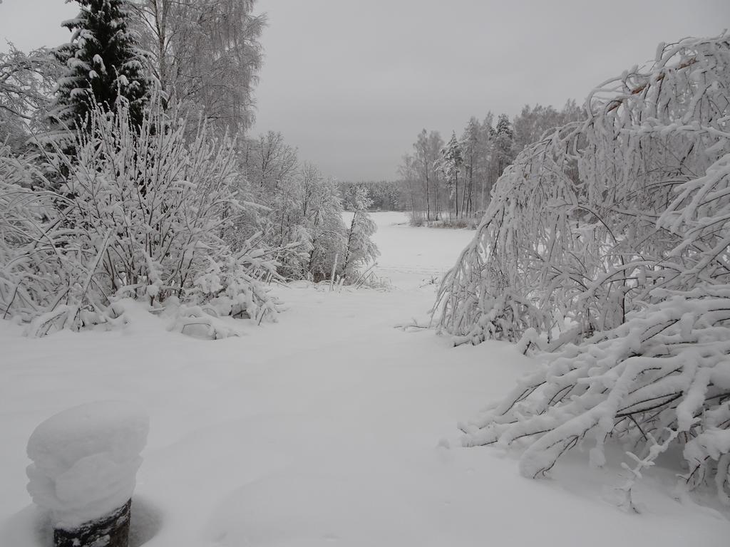 Фото Великое Озеро