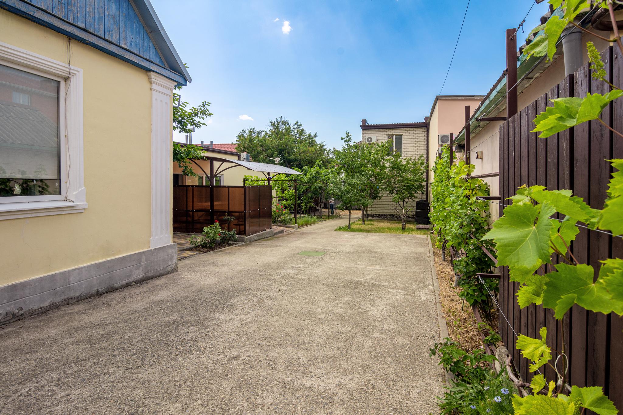 Фото Мускат