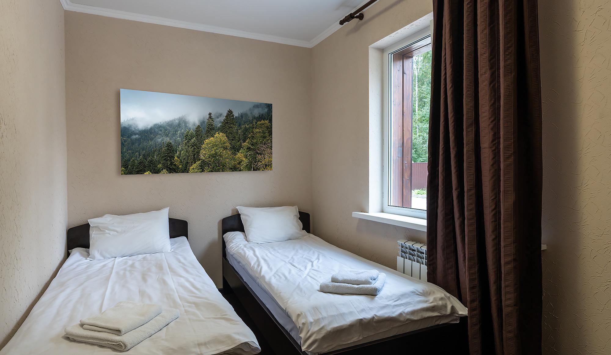 Фото Лесные поляны