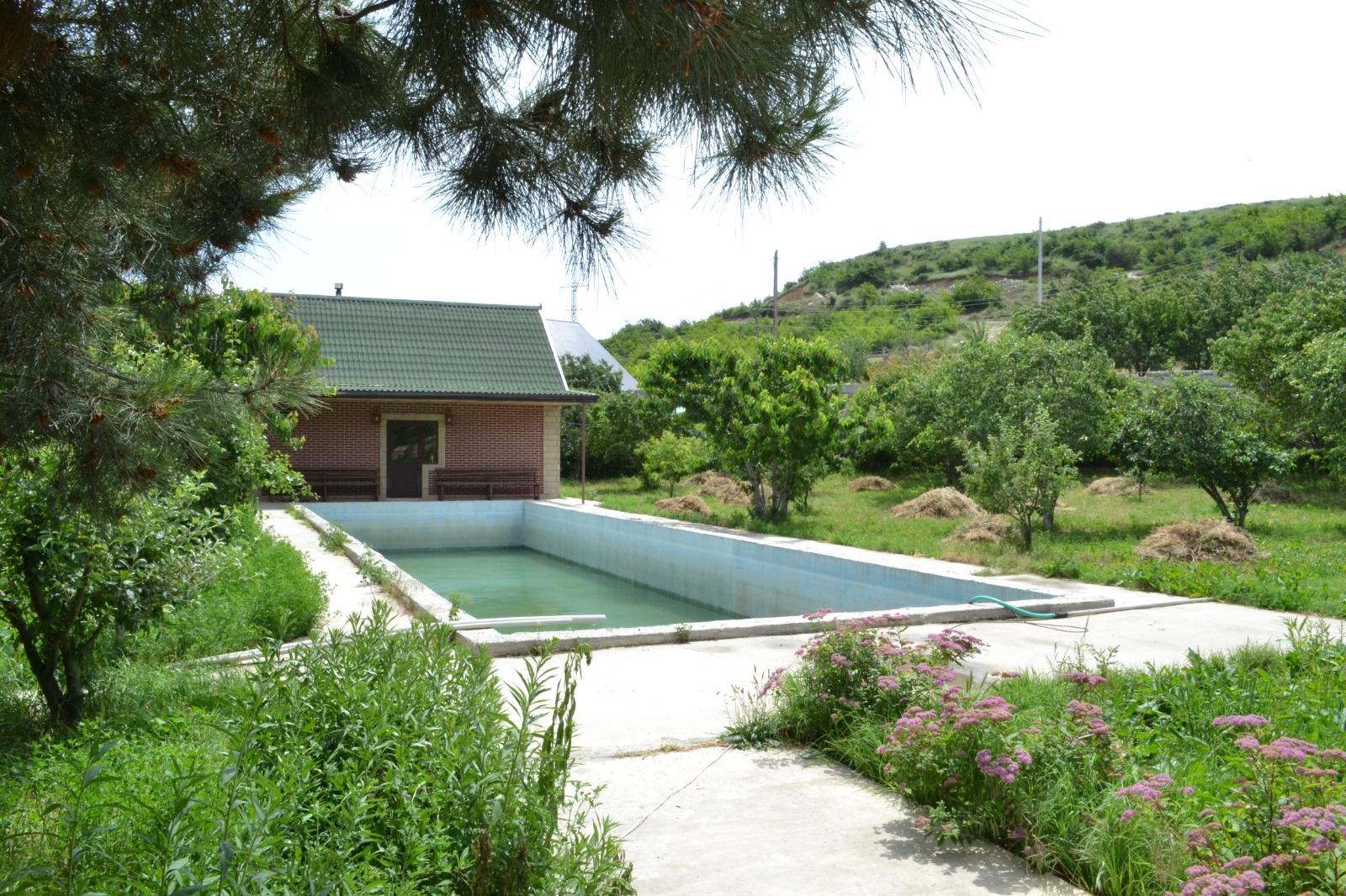 Фото В Тарках