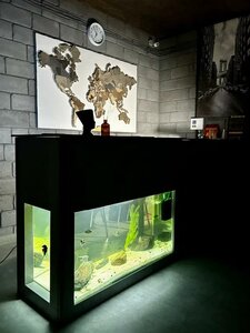 Гостиница Hotel Loft