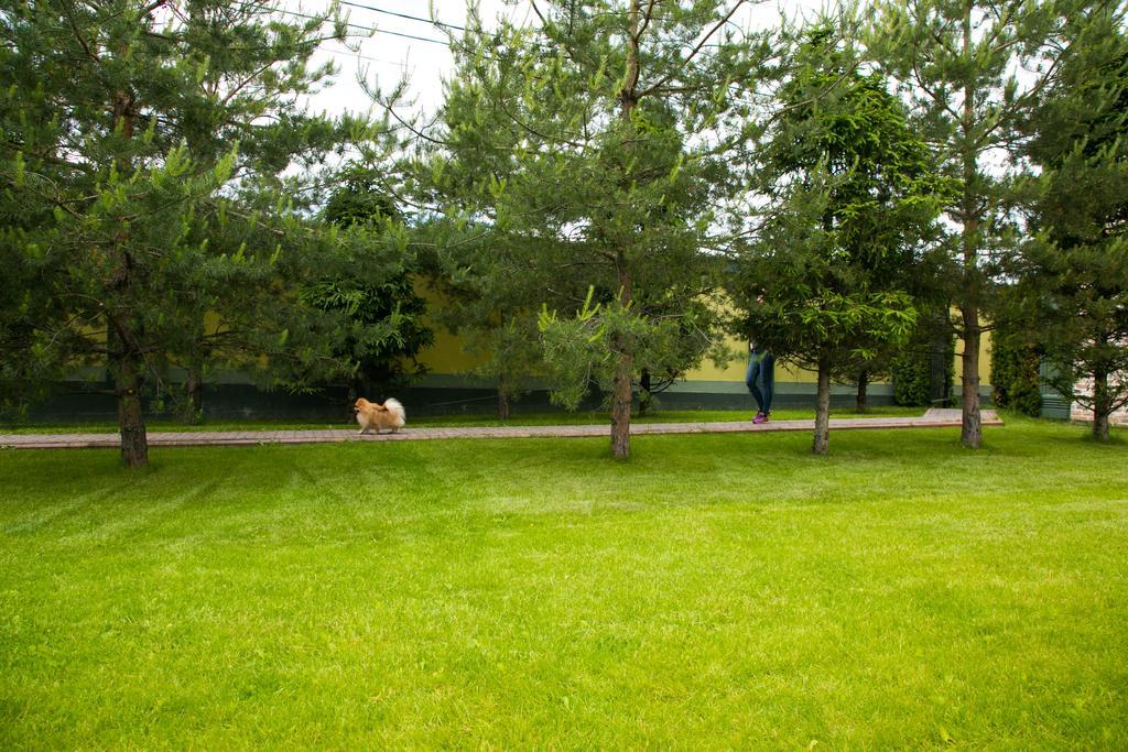 Фото Сытый Ежик