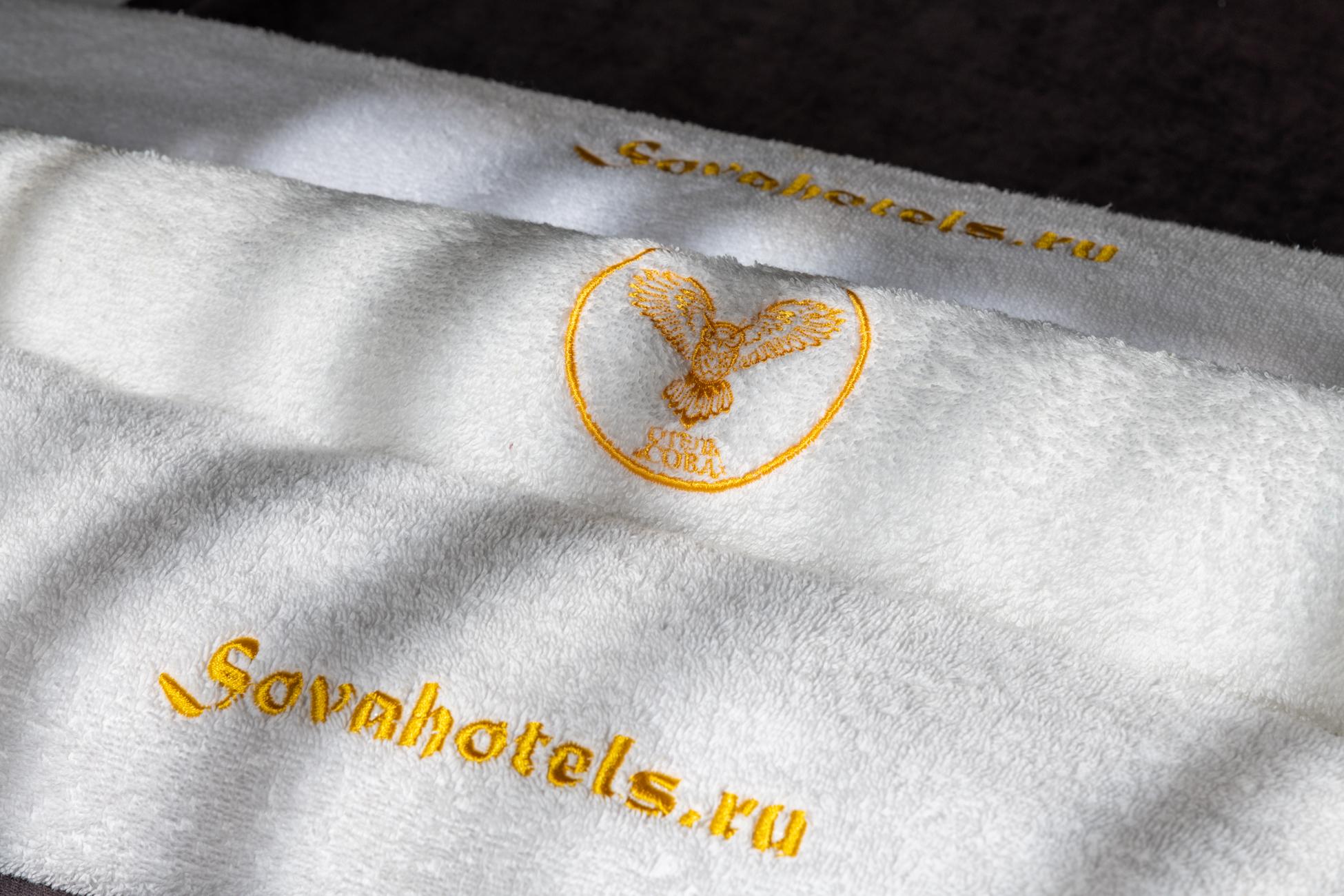 Фото Сова Беседы