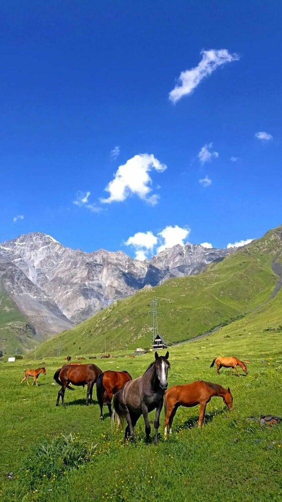 Фото Вилла Mountain Flower cottage